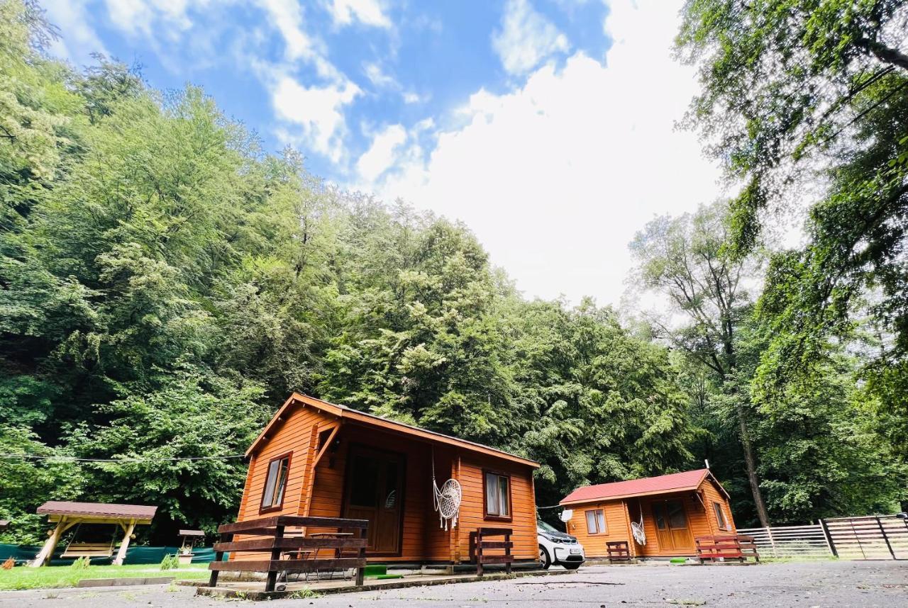 Sound Of Nature Tismana Exterior photo